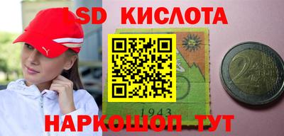 дмт Новокубанск