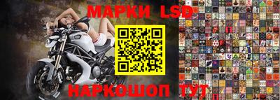 дмт Новозыбков