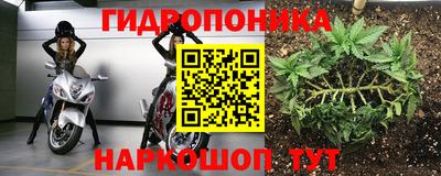 дмт Новокубанск