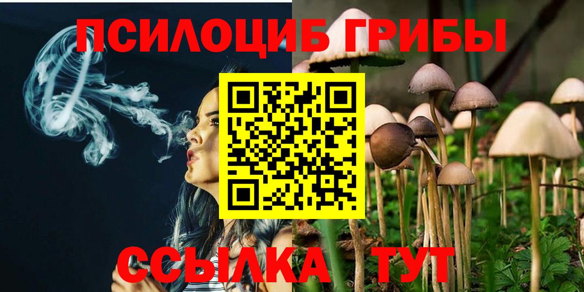 Галлюциногенные грибы Cubensis  Вход с VPN  Южноуральск 